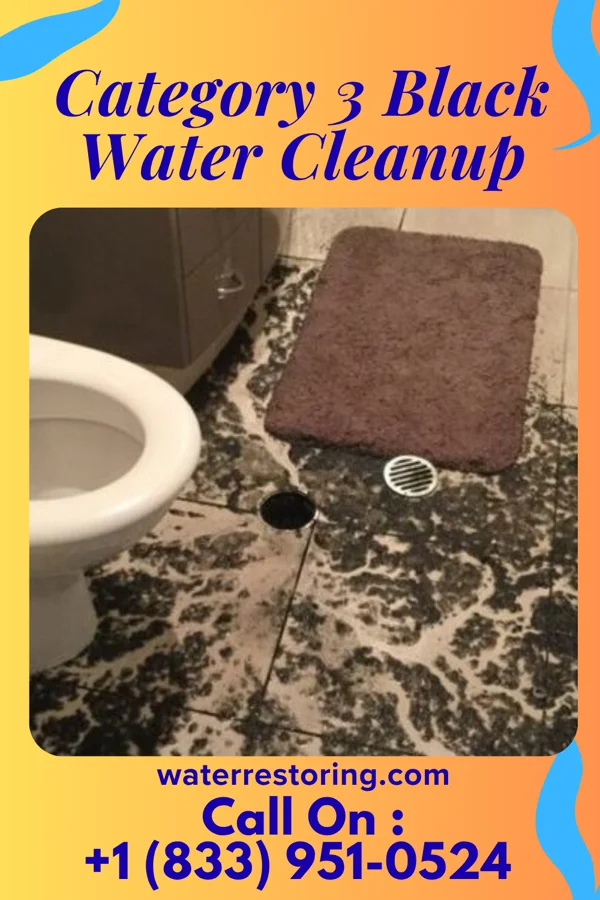 Category 3 Black Water Cleanup in Tallulah Falls, GA
